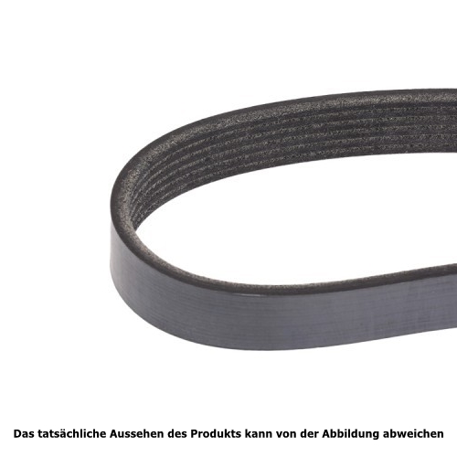 Jeep Wrangler YJ 2,5 & 4,0 ltr. Flachriemen Keilrippenriemen Keilriemen ohne Klima 91-95