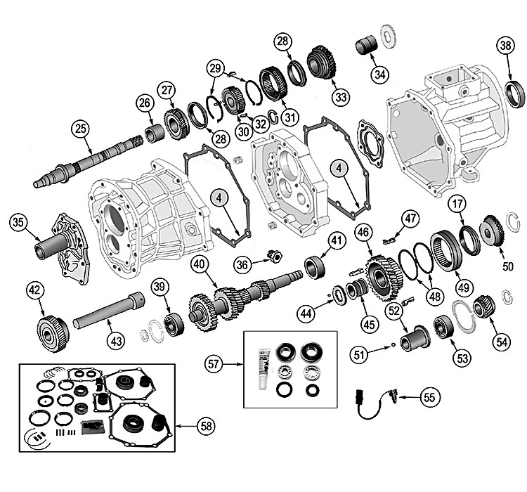 Animated markings image
