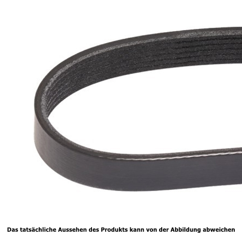 Jeep Cherokee XJ 2,5 ltr. Flachriemen Keilrippenriemen Keilriemen Klima Servo 91-95