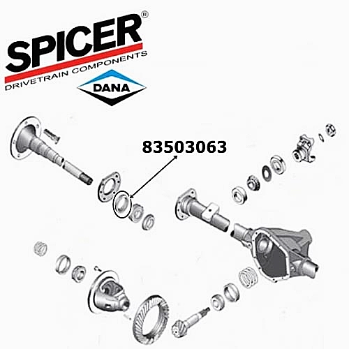 Jeep CJ Simmerring Steckachse Radlager außen Dana 44 Hinterachse Spicer Bj. 1986