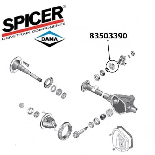 Jeep Wrangler YJ Simmerring Kardan Eingang Dana 44 Hinterachse Spicer 87-95