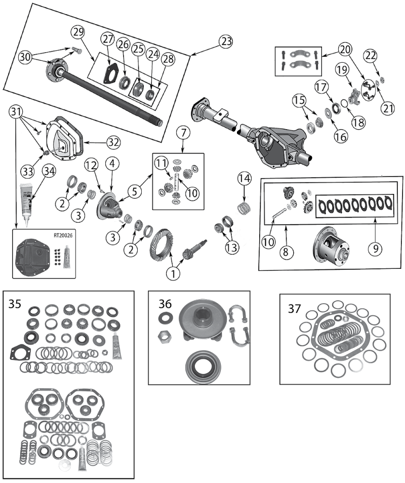 Animated markings image