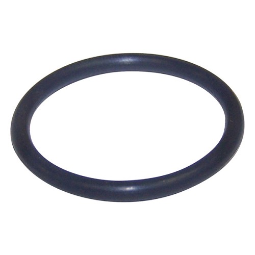 Jeep CJ O-Ring Simmerring Zwischenwelle Halbwelle Dana 20 Ve