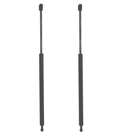 Jeep Cherokee XJ Set Heckklappendämpfer Dämpfer Heckklappe T
