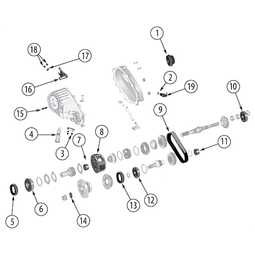 Animated markings image