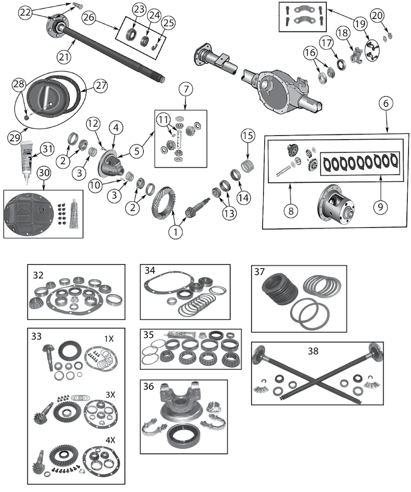 Animated markings image