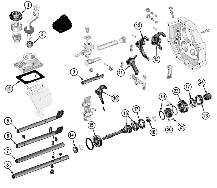 Animated markings image