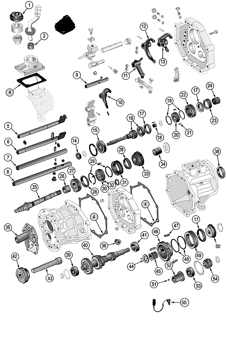 Animated markings image
