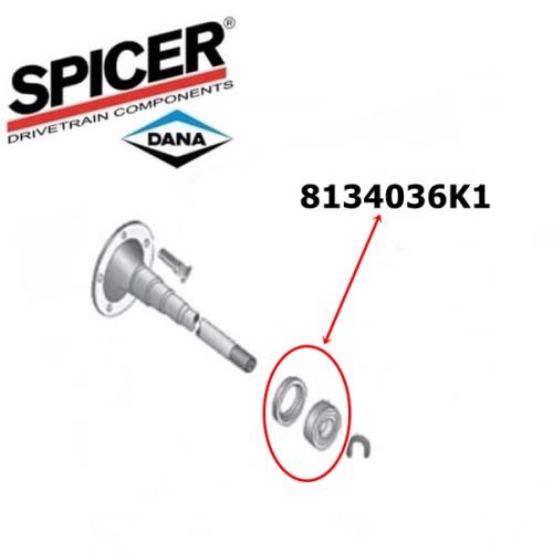Jeep Grand Cherokee ZJ ZG Radlager Satz 2-teilig Dana 35 Hinterachse Spicer 92-98
